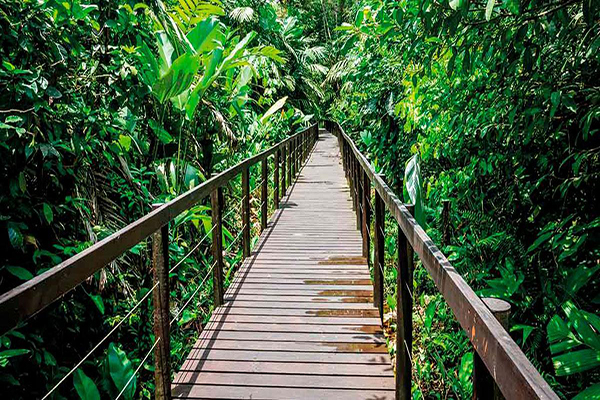 Explore Cahuita National Park