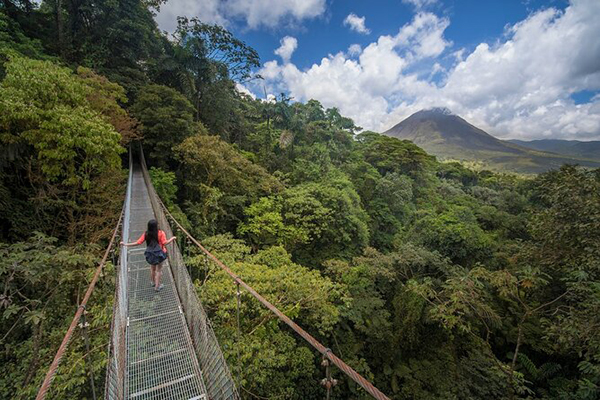 Arenal Hanging Bridges