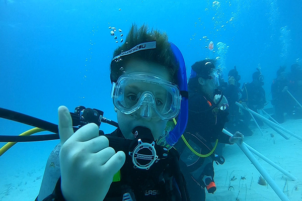 Snorkeling and Diving