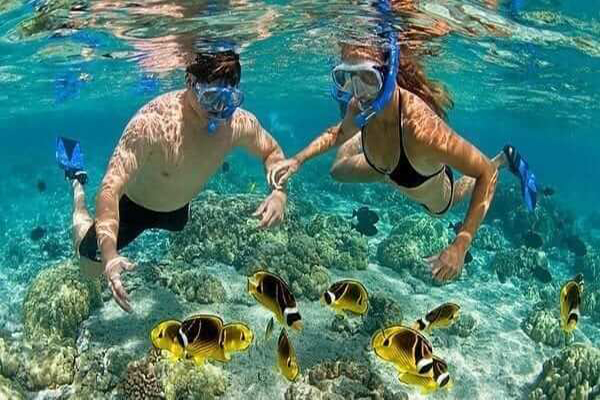 Snorkeling and Diving